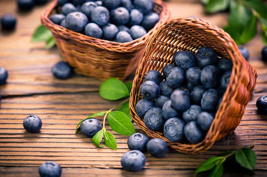 The blueberry for the well-being of sight: this is how it favors it