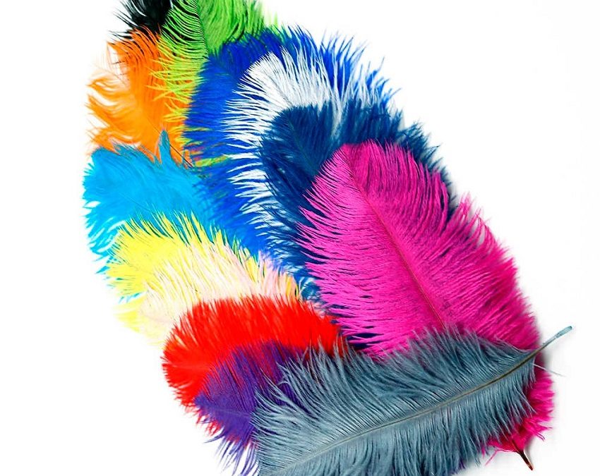 Colored Ostrich Feathers