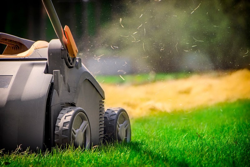 Tips for lawn maintenance