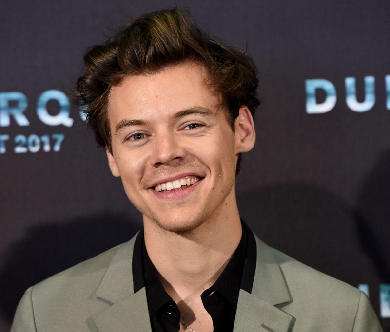 Harry Styles Height, Age, Weight, Girlfriends, Family Gay? Lineart