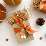 Best Cozy Fall Present Ideas for Ladies