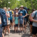 Chicago family hiking a peaceful forest trail